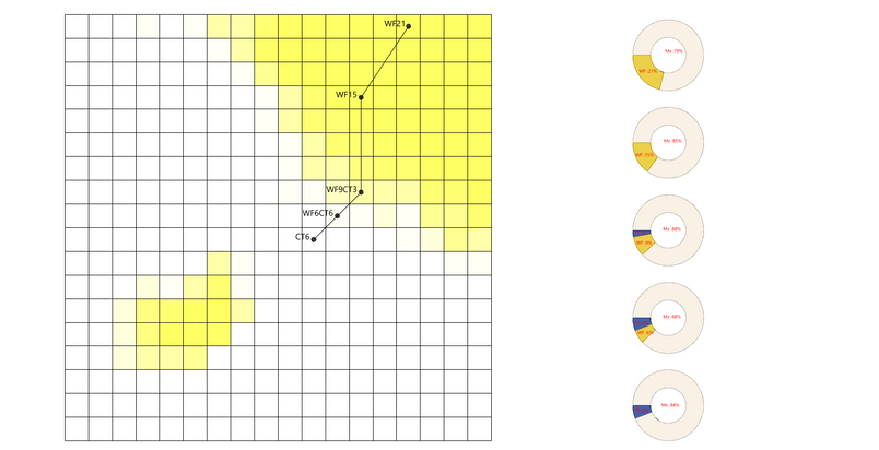 Rhizaerial - diagram