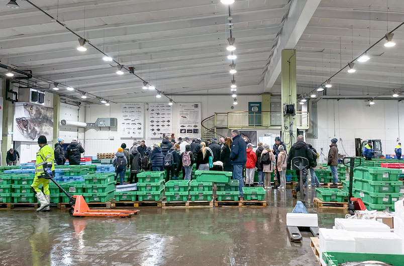 site photo: Gothenburg Fish Auction
