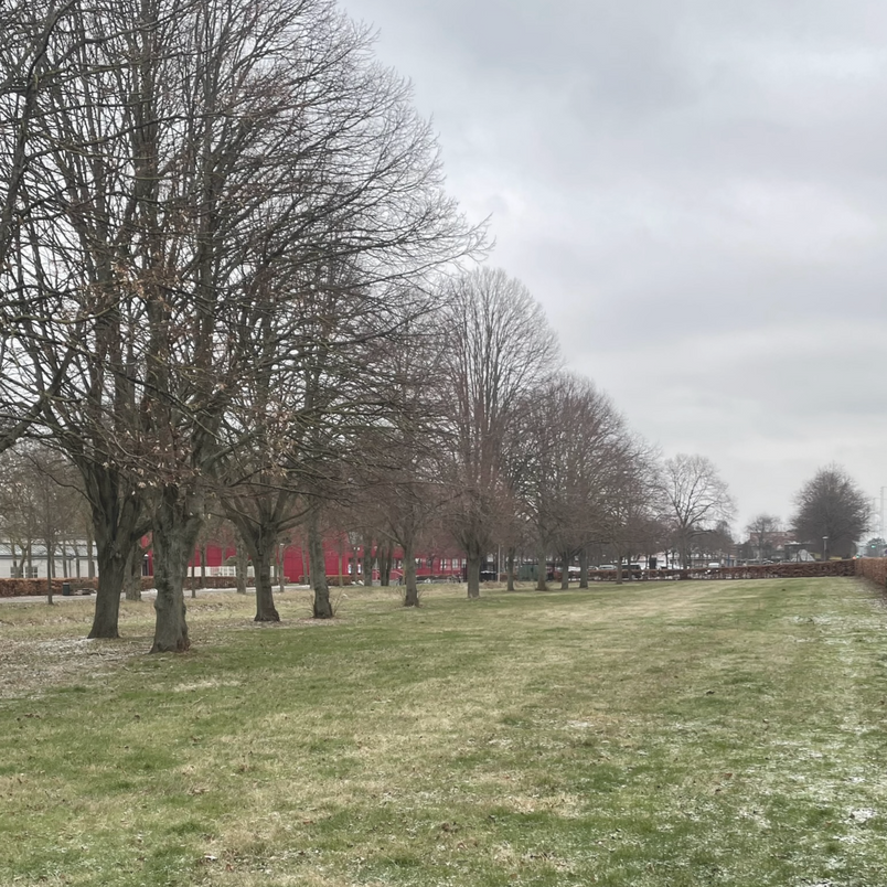 A site photo showing the green area