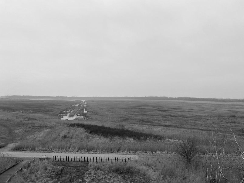 Kalvebodfælled