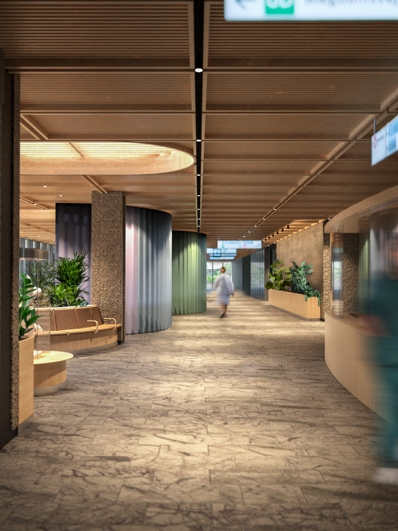 Rogshispitalet, indgang, hospital foyer, visualization, Mette Korte 