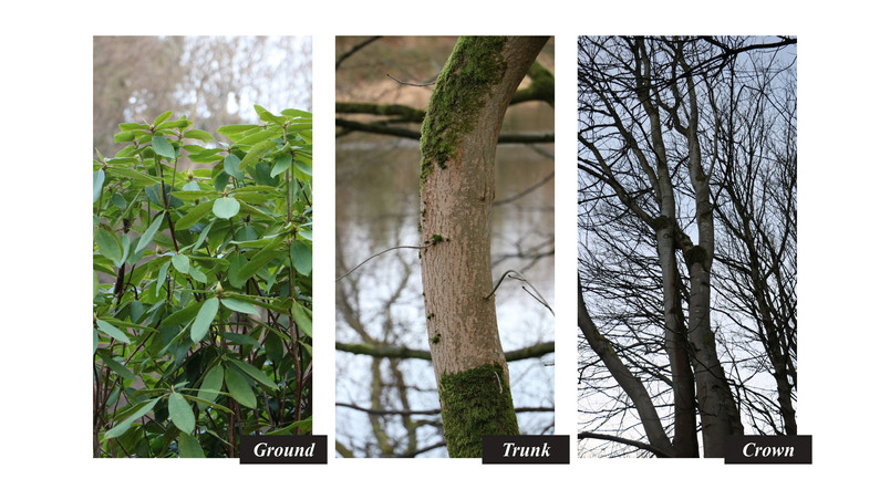 Nature on site