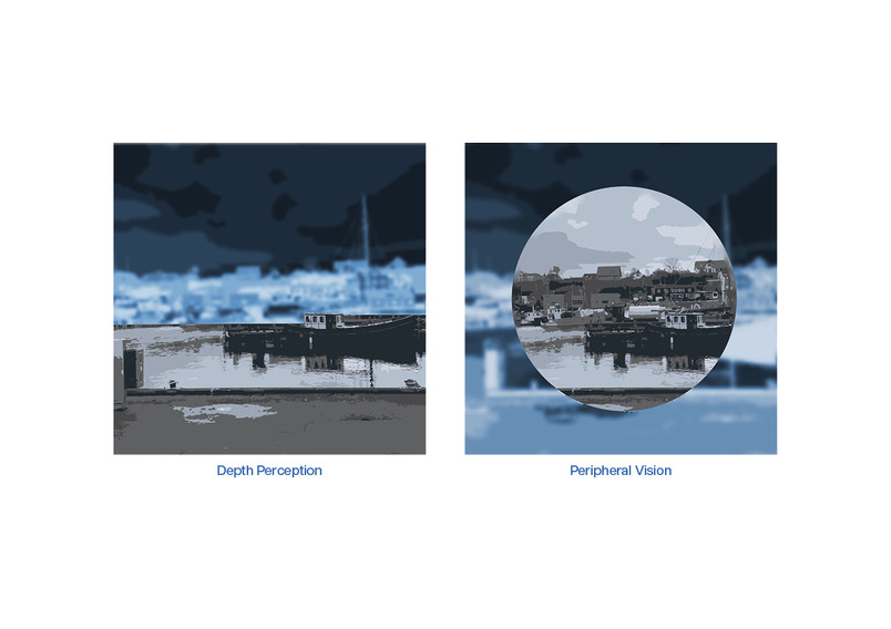 The sense of vision affects our depth perception and our peripheral vision. This makes it difficult or even dangerous to navigate outside the home