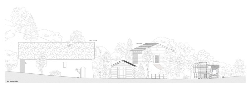 Site Section