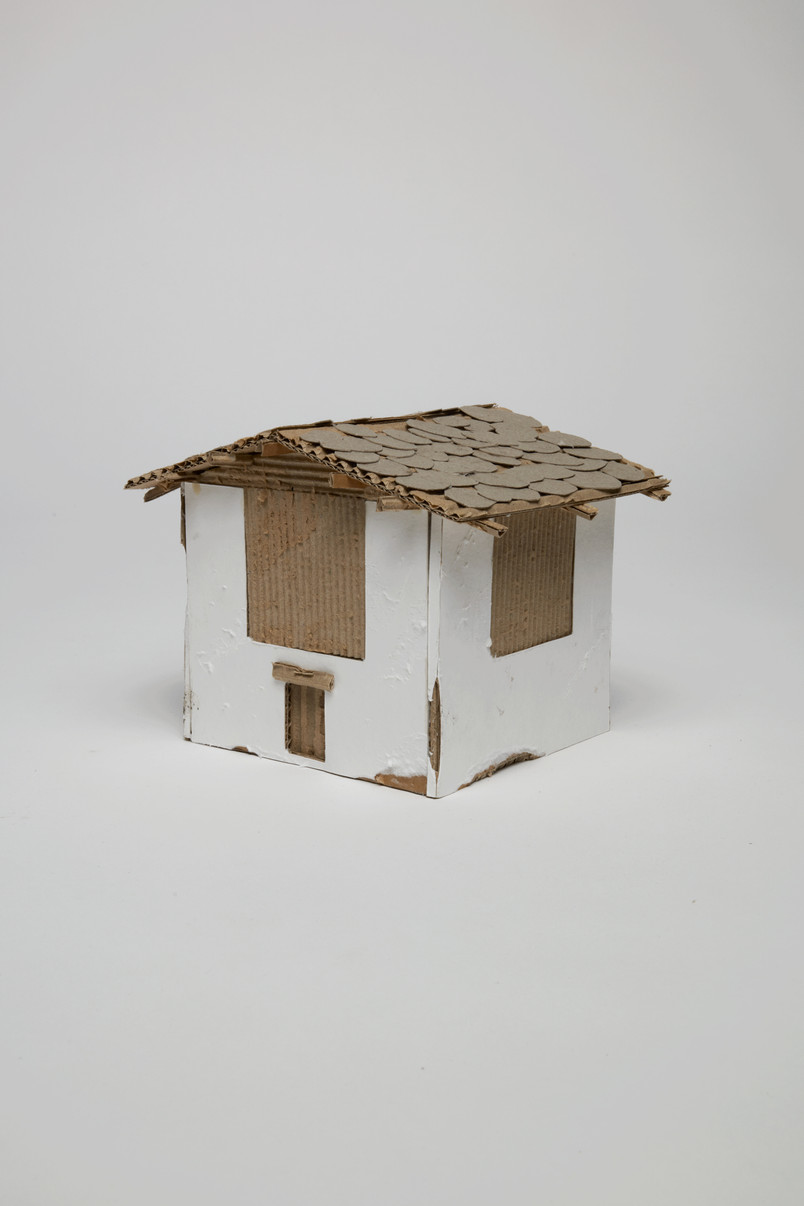 typology study model