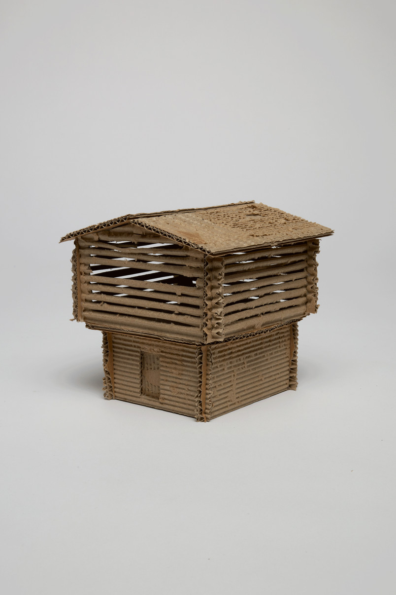 typology study model