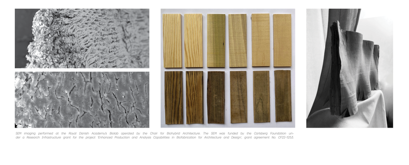 Densification of wood into complex geometries