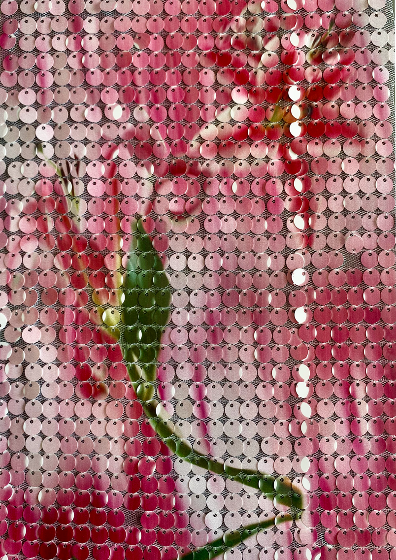 Process