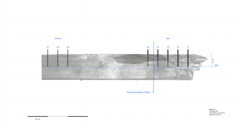 Proposed Healthy Timber