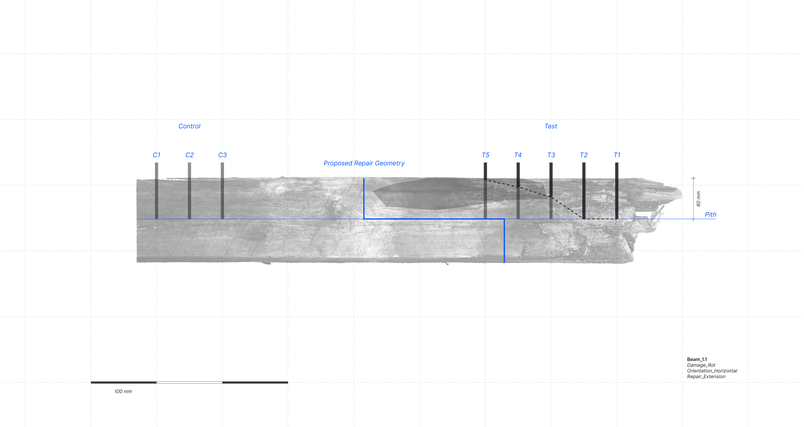 Proposed Repair Boundary