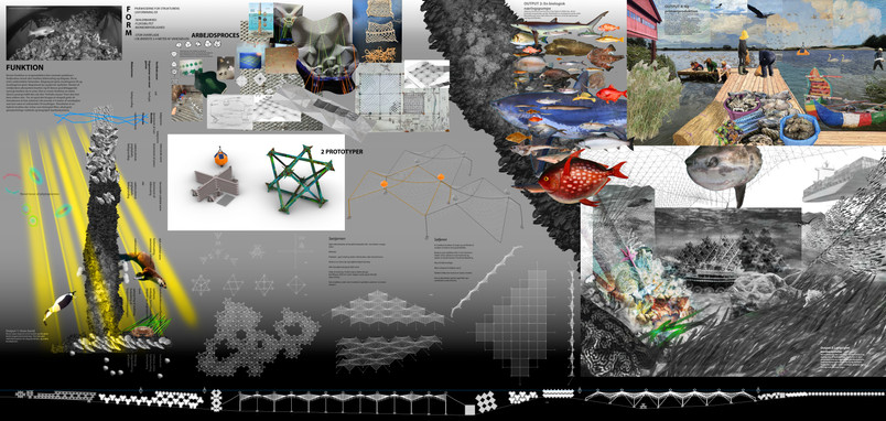 Forms and functions