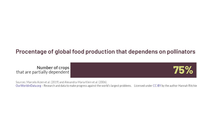 Table over pollinators affect on global food production 