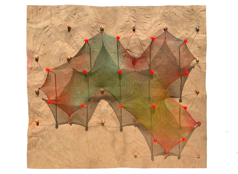 Top view of Sea Feather reef structure