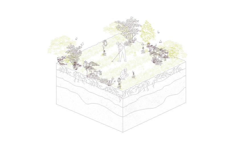 Phase 3: Potential stage of industrial site - Phytoextraction has absorbed all the heavy metals and the soil is restored