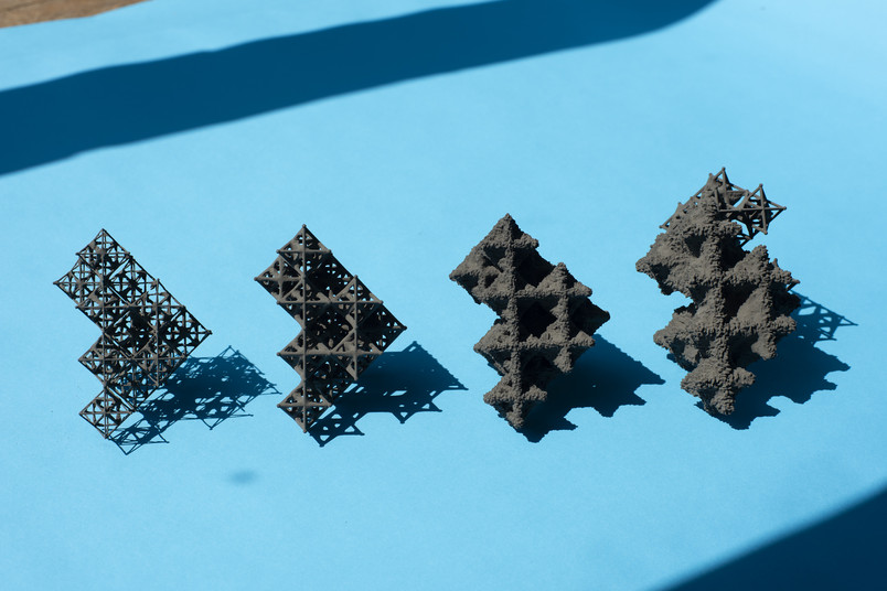 The benthic organisms envelop the structure