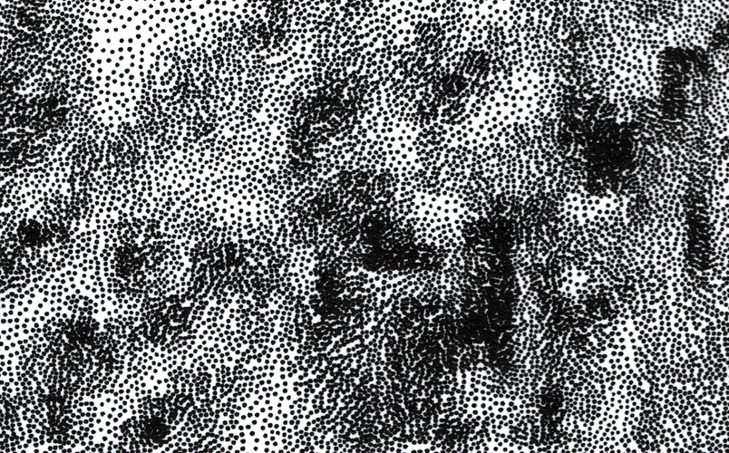 Pen plotted plate of Lenna test image processed through VGG(1500x).