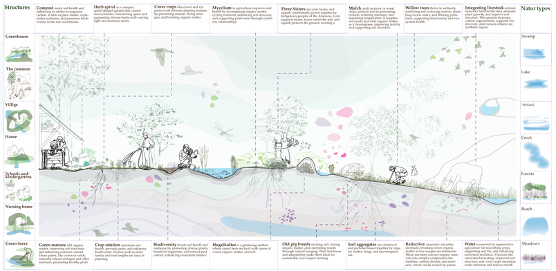 Graphic showing the transformation from large-scale farming to regenerative practices on smaller plots.