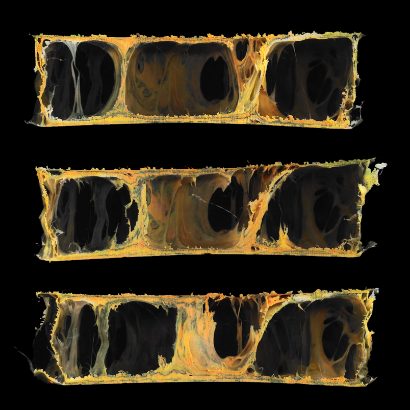 Three organic structures with cavities and yellow tones against a black background.