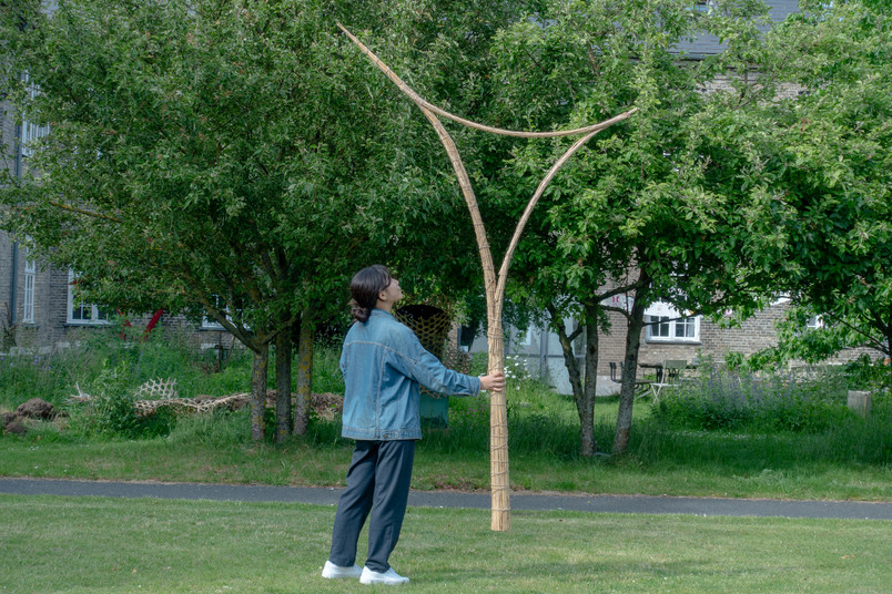 Person holding an upright bamboo structure with two branches.