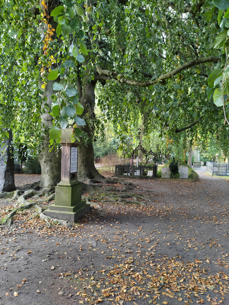 cementery