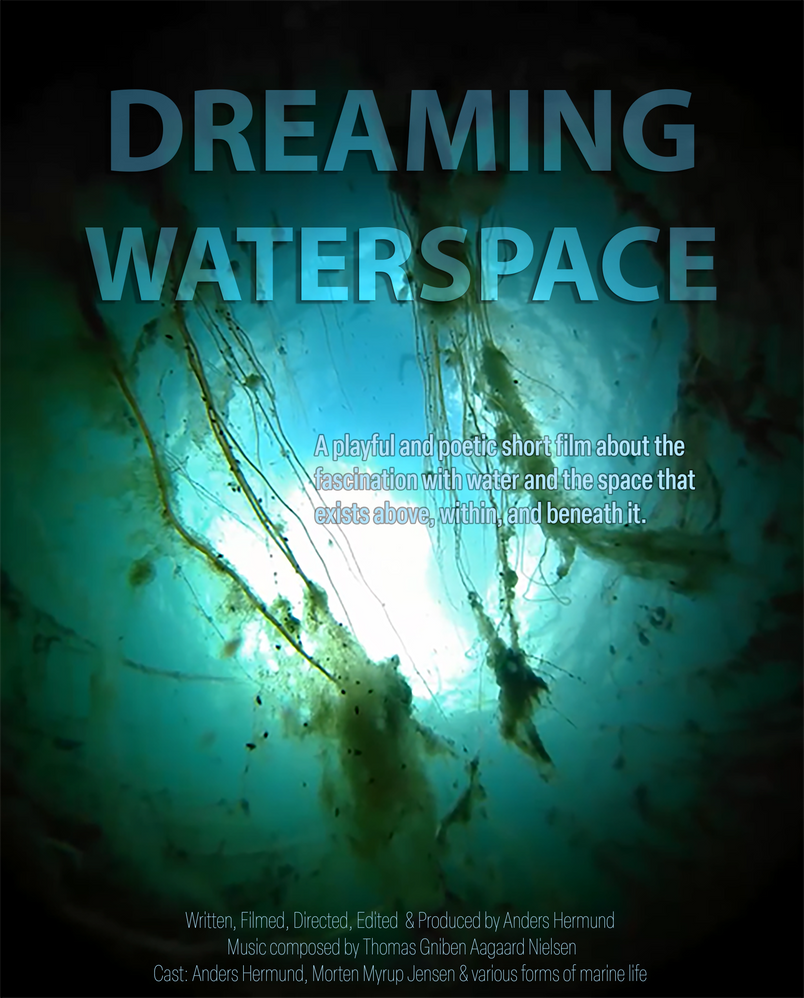 Poster Dreaming Waterspace