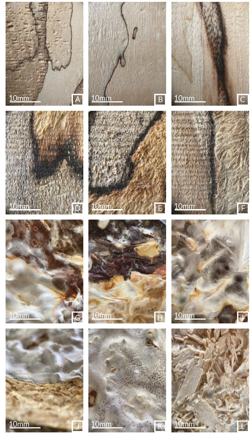 Project Poplar and Mycelium Acoustics - Surface Characteristics