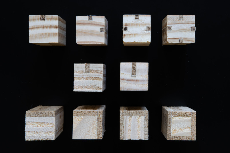 hybrid_specimens_2
