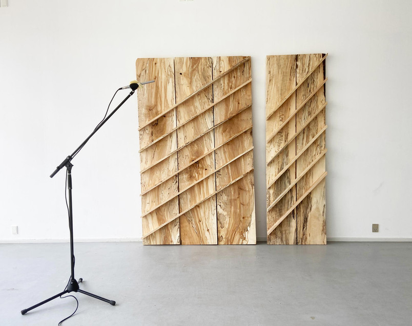 Project Poplar Acoustics - Reverberation Room Testing of Poplar Prototype