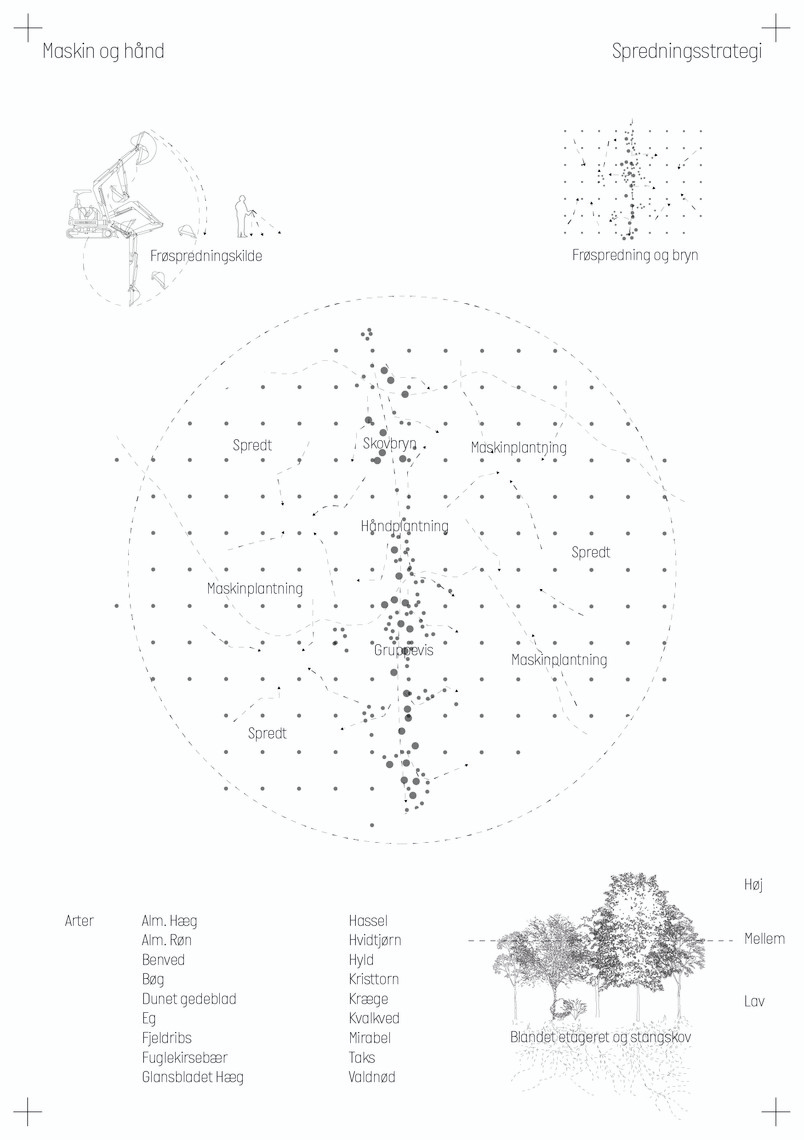 Spredningsdiagram