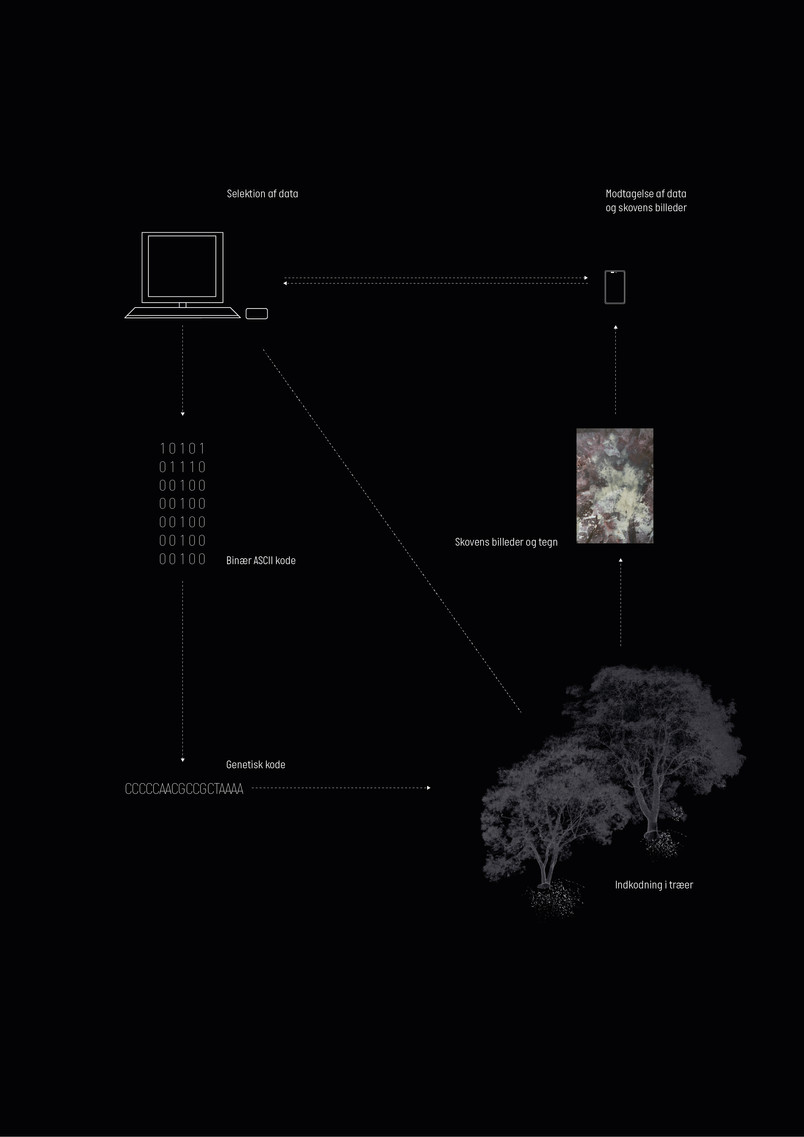 Afkoder Diagram Funktion