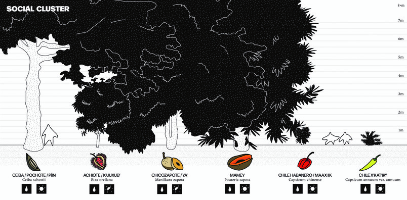 Fruit trees