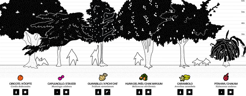 Fruit trees