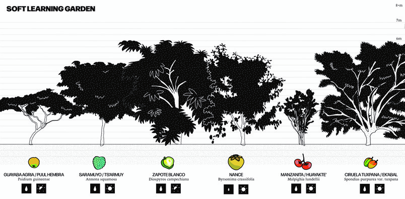 Fruit trees