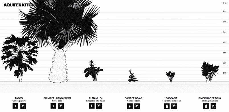 Fruit trees
