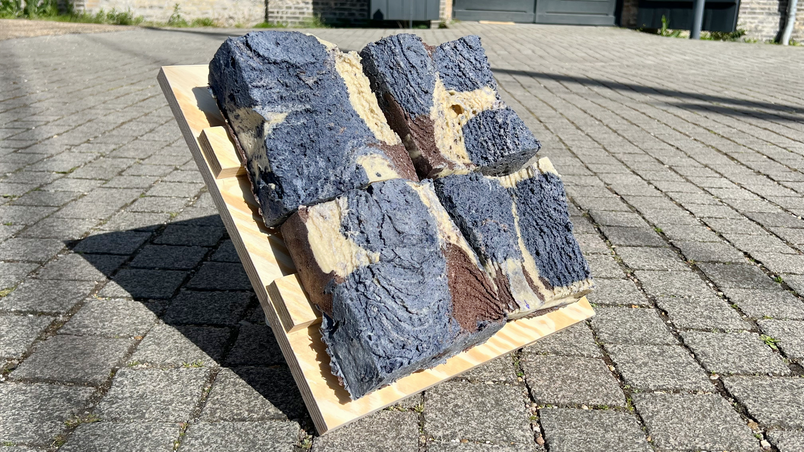Biofoam Panels