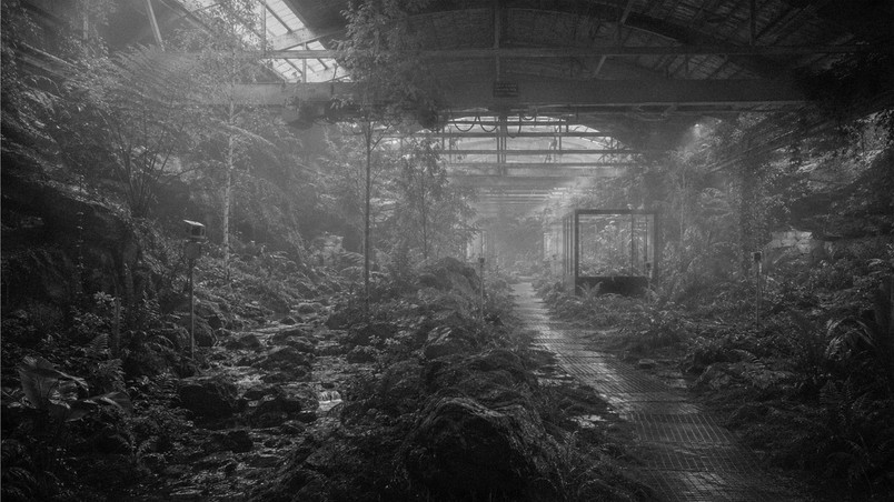 Phytotron 15 år