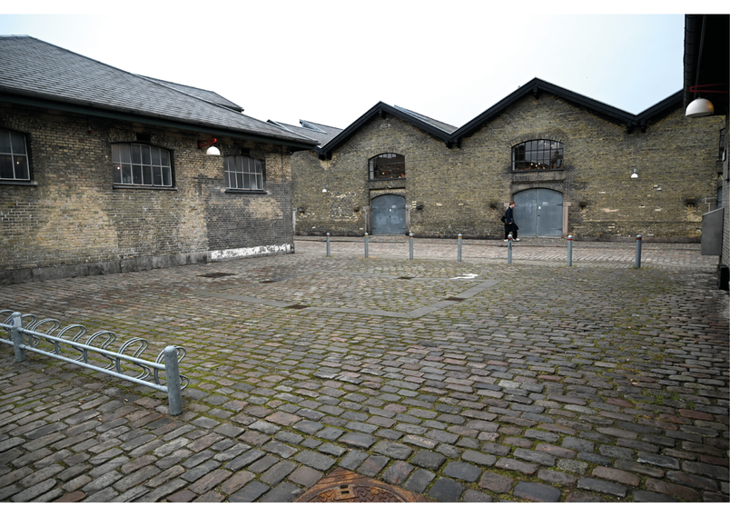 Vision 4: The Communal Garden