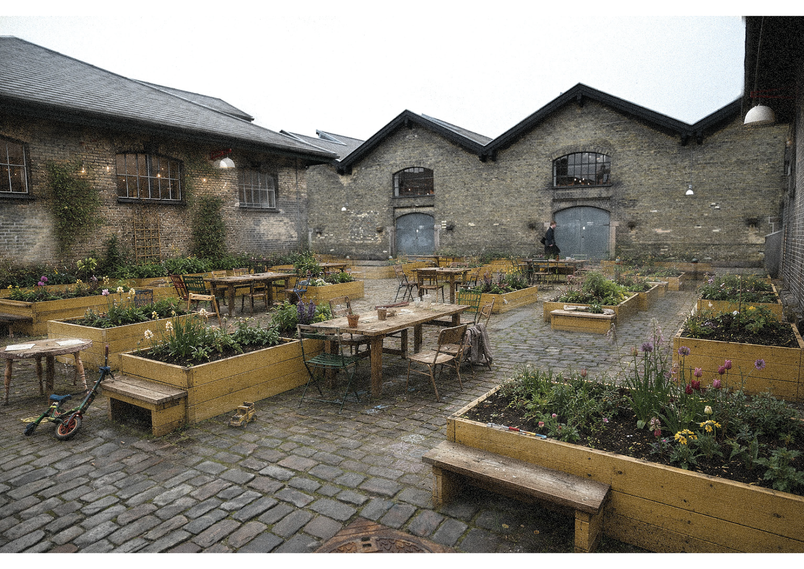 Vision 4: The Communal Garden
