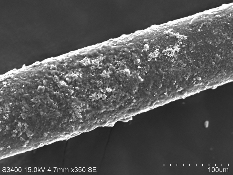 Acrylic paint on hair seen in SEM