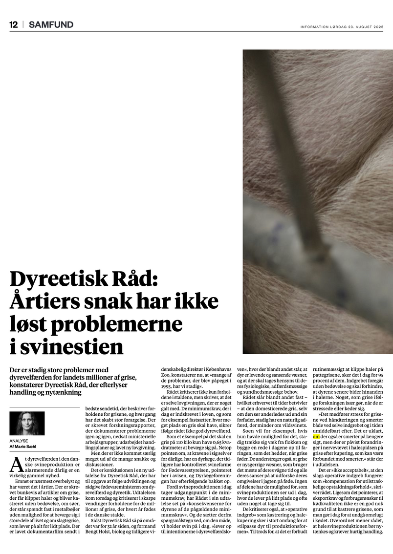 Danish newspaper articles concerning Danish conventional pig production.