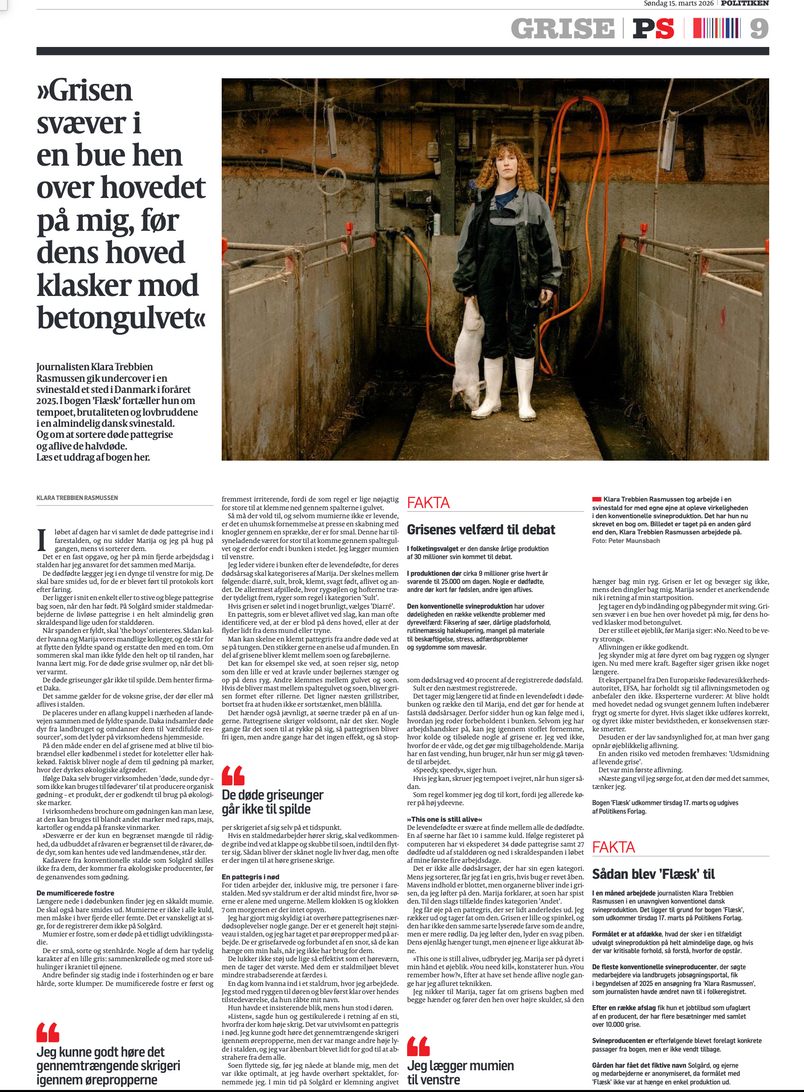 Danish newspaper articles concerning Danish conventional pig production.