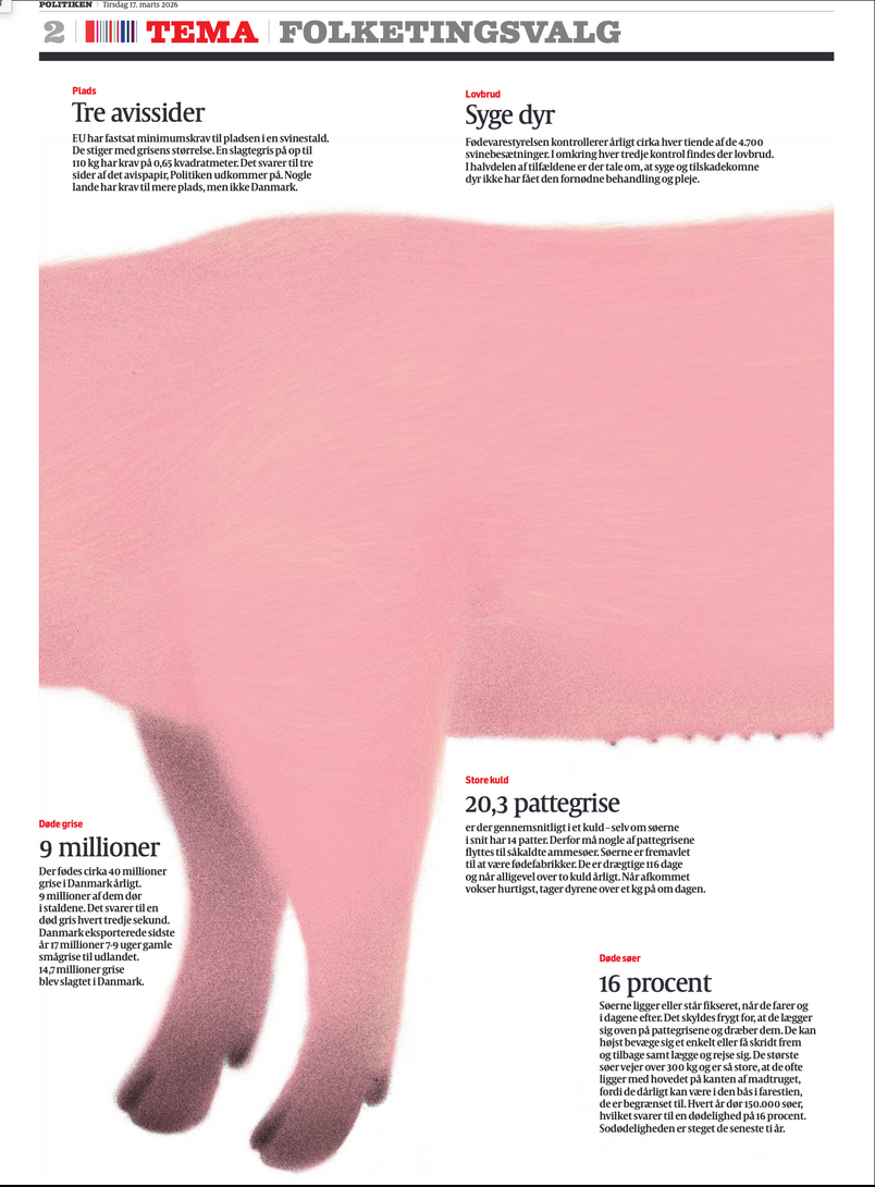 Danish newspaper articles concerning Danish conventional pig production.Danish newspaper articles concerning Danish conventional pig production.