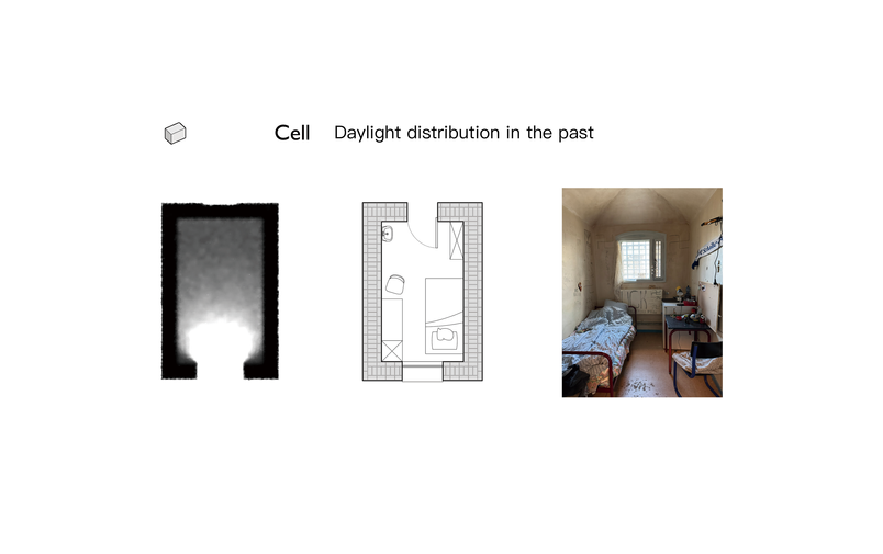Original Cell as Comparison
