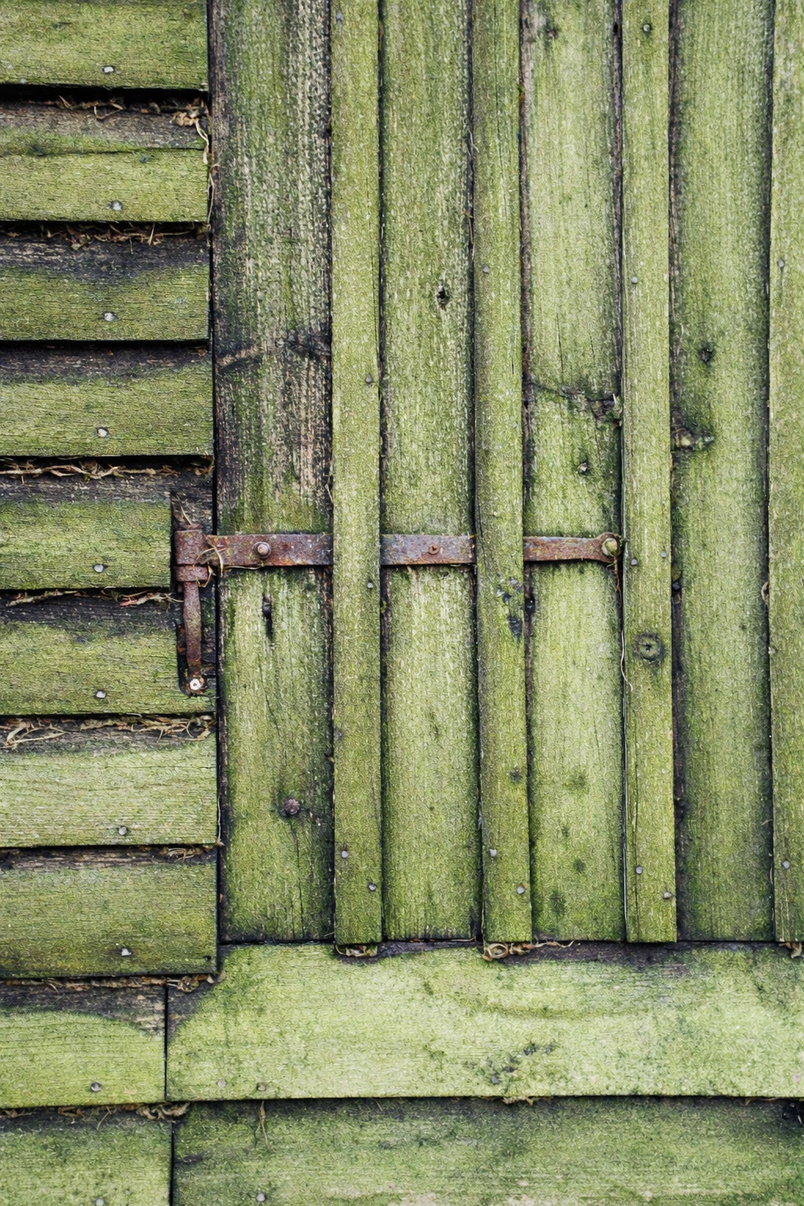 Eksisterende forhold - Dør nord facade