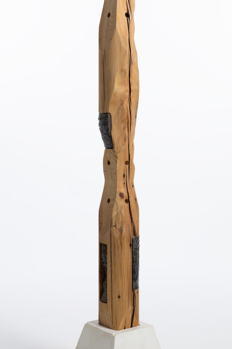 Wooden Pole, Clay Reduction and Bronze Artefacts 