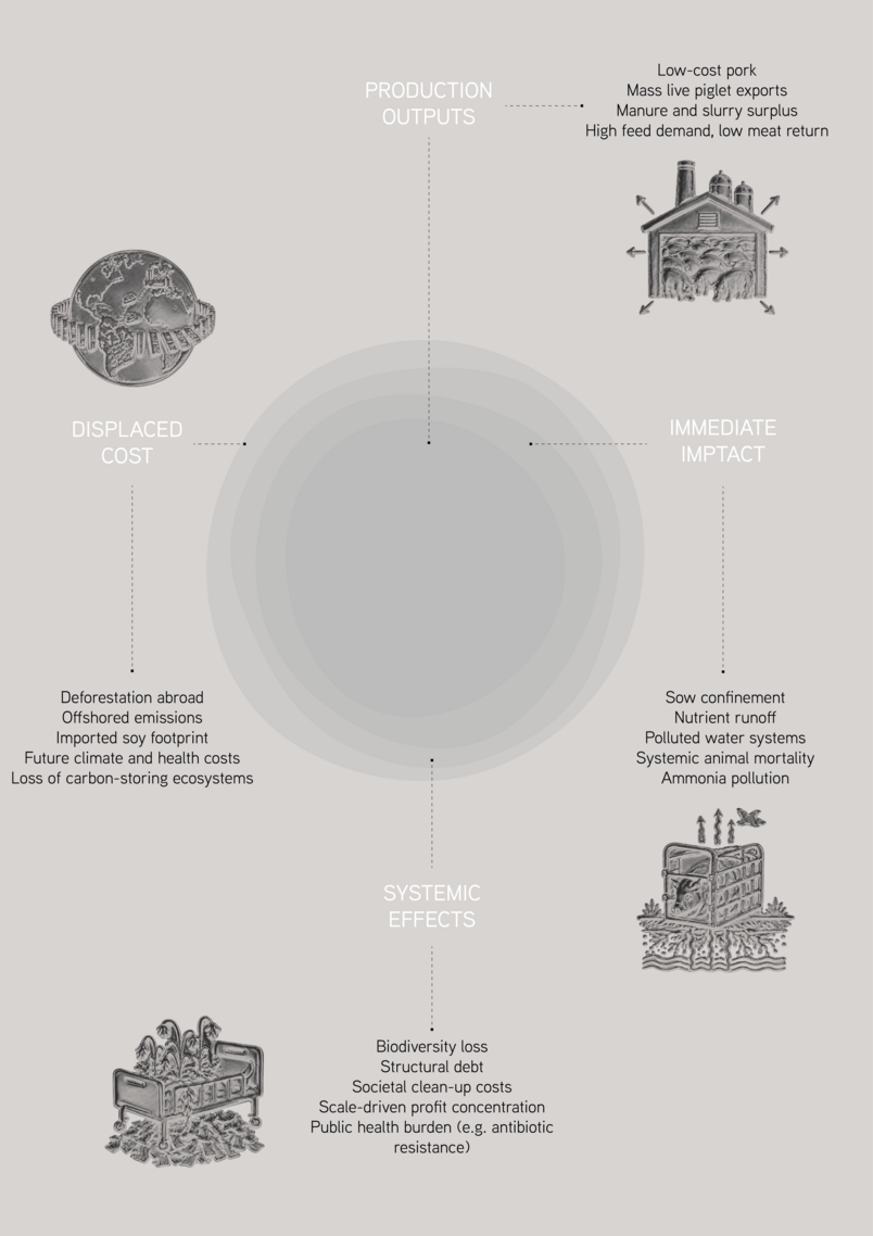 Diagram outlining the main negative externalities of Danish conventional pig production