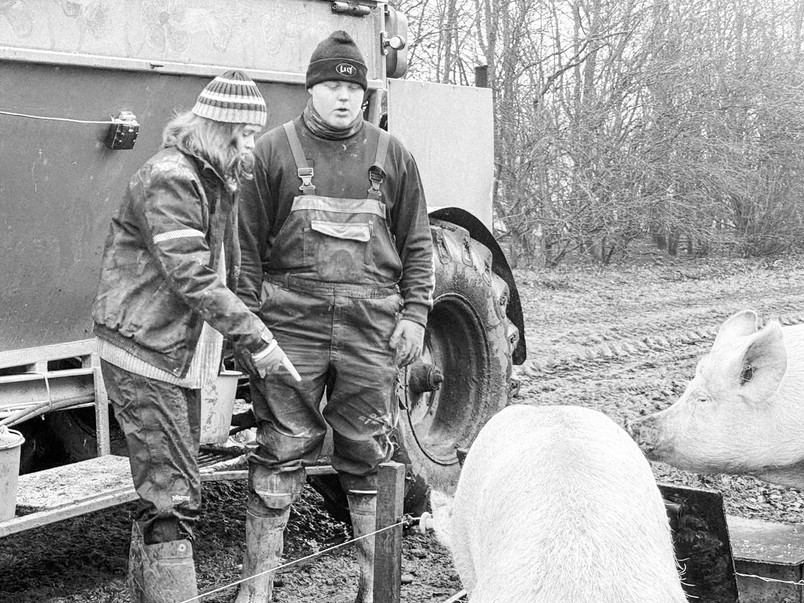 Field study at Hestbjerg Økologi