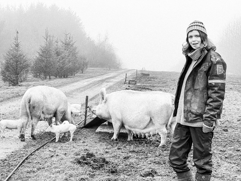 Field study at Hestbjerg Økologi