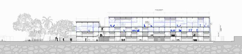 Longitudinal Section