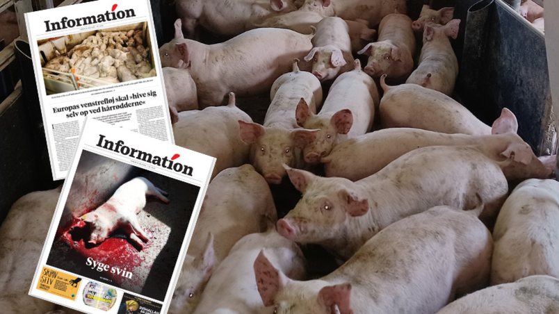Newspaper articles and research projects that have, among other things, informed the project.